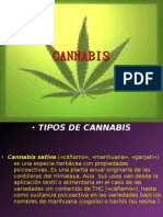 Presentación1.pptx Cannabis