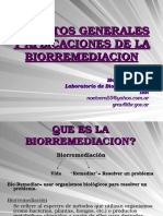 Biorremediación