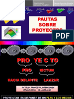 000 Pautas Sobre Proyectos