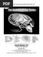 Classification of The Anatomical Variation in Female External Genitalia ...