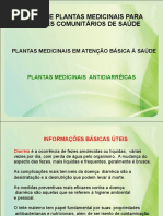 plantas_medicinais_antidiarreicas