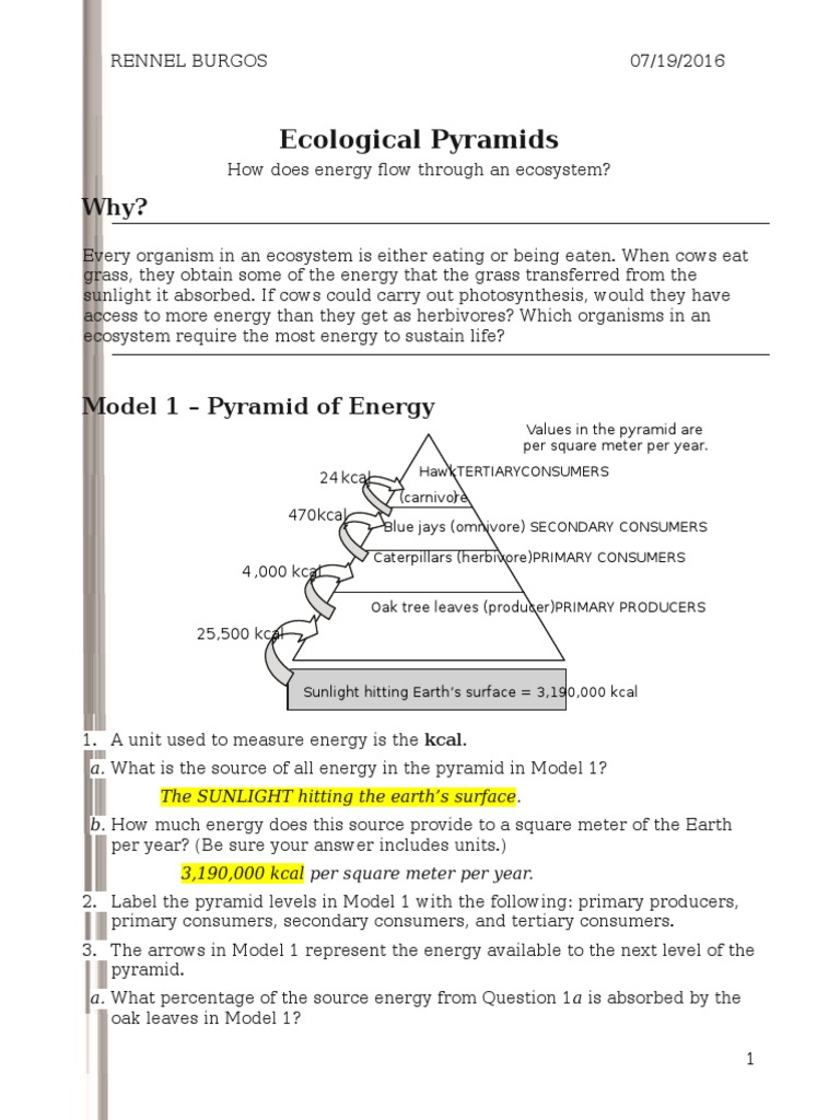 10 Ecological Pyramids-S Rennel  PDF  Biomass (Ecology)  Food Web Inside Ecological Pyramids Worksheet Answer Key