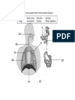 F3C1 Resp Labelling