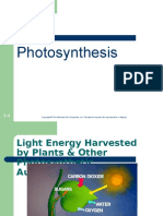 Class 5 Photosynthesis