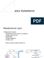 Sintesis Kolesterol Dan Atherosklerosis