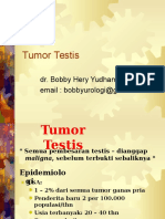 Tumor Testis