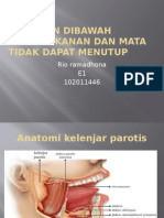 pbl blok 21 rio