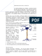 Bases Biológicas de La Conducta (2)