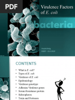 Virulence Factor of E. Coli