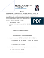 Curriculum Vitae