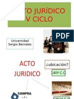 Universidad Sergio Bernales - Acto Juridico