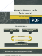 Historia Natural de La Enfermedad