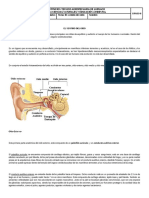 Lectura Oido 8