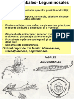 Curs 9 Fabales