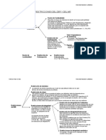 Restricciones DER MR
