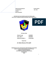 Download K3 Pada Petugas Laboratorium Kesehatan by MufidAljaru SN319400606 doc pdf
