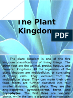 Plants Adaptation