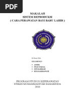 Download MAKALAH Perawatan Bayi Baru Lahir by Hira Damayanti SN319428647 doc pdf