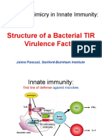 Molecular Mimicry in Innate Immunity:: Structure of A Bacterial TIR Virulence Factor