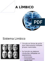 sistemalimbico-130719181312-phpapp01