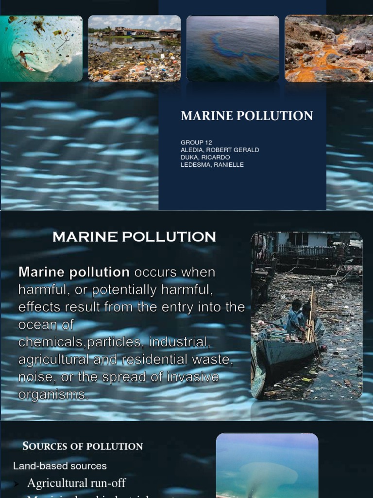 Understanding Marine Pollution Sources | PDF