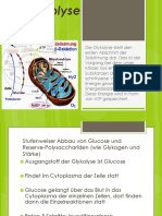 Glykolyse Ablauf