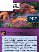 Klasifikasi Invertebrata