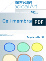 Cell Membrane