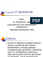 Visum Et Repertum