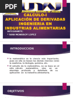 CALCULO-I
