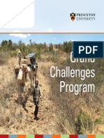 2011 Grand Challenges Pamphlet