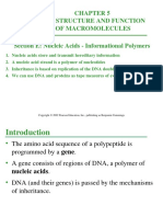 Chapter 5 The Structure and Function of Macromolecules Section E: Nucleic Acids Informational Polymers