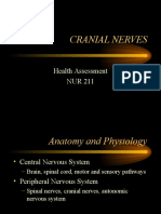 Cranial Nerves