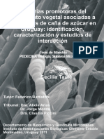 Formación de Una Colección de Bacterias Diazotróficas Asociadas A Variedades de Caña de Azucar en Uruguay PDF