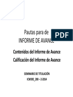 Pauta Informe Avance.