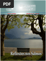 Reflexões nos  Salmos