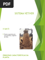 Sistema Vetiver