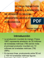 Mango-Tratamientos alternativos postcosecha