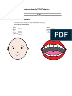 Pauta Evaluacion Tel Kinder 1 Trimestre