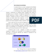 Principales Estrategias de Integracion Metodologica