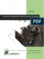 NTABLELANDS - Koala Recovery Strategy-Draft