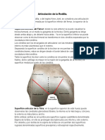 Anatomia, Biomecanica Semiología y Patologia de Rodilla Lic Sanabria Lisandro