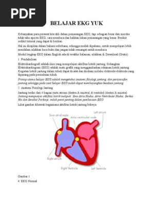 Unduh 560 Gambar Hasil Ekg Jantung Tidak Normal Paling Bagus Gratis