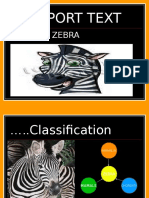 REPORT TEXT Zebra
