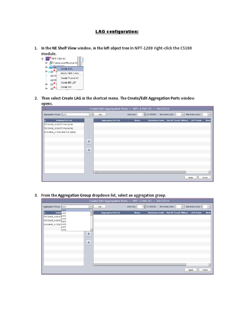 LAG Configuration Guide for CS100 Module | PDF