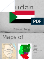 Sudan Country Project 