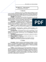 Palimpsesto Consciencial PDF