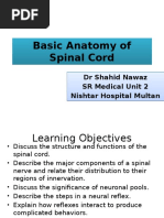 Basic Anatomy and Physiology of Brain and Spinal Cord