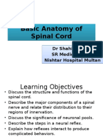 Basic Anatomy and Physiology of Brain and Spinal Cord