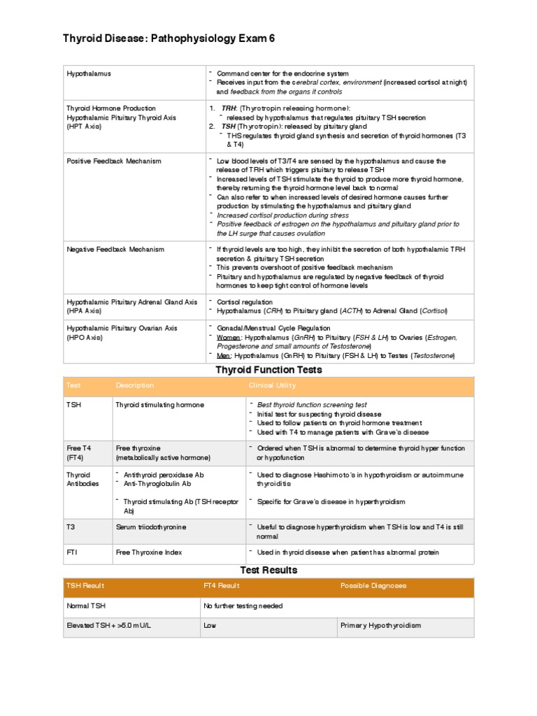 Thyroid Disease Report Overview | PDF | Thyroid Stimulating Hormone ...